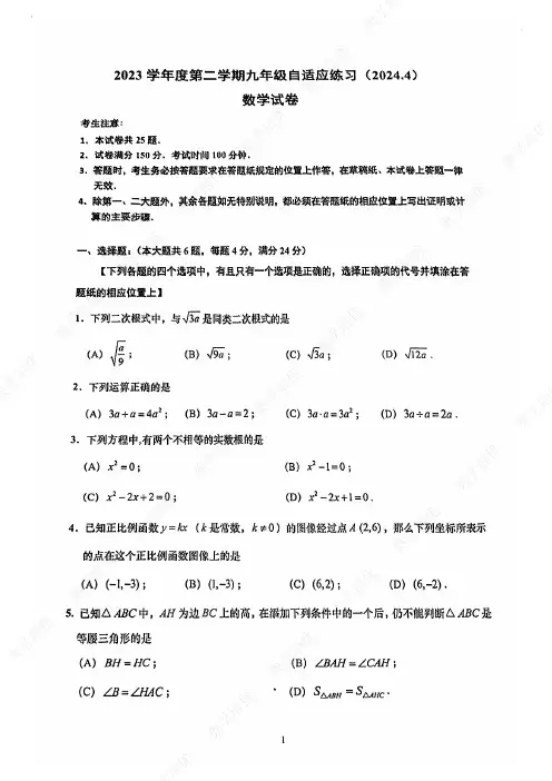 2024上海普陀区初三二模数学试卷及答案