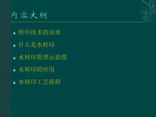 精选水转印学习工艺