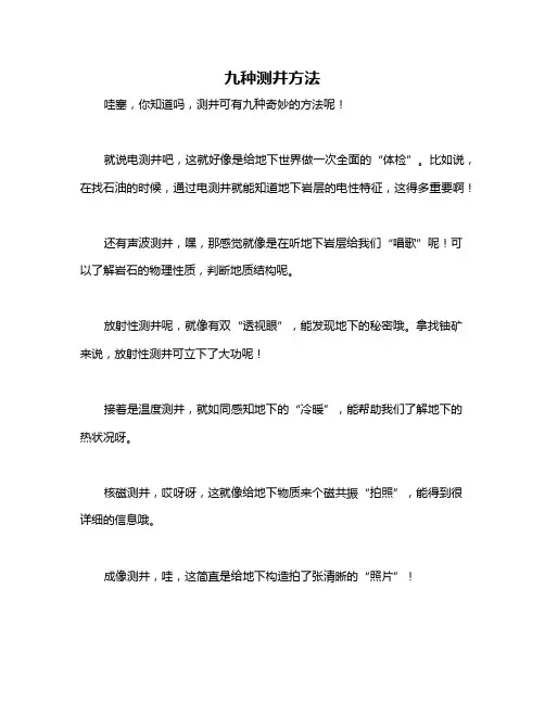 九种测井方法
