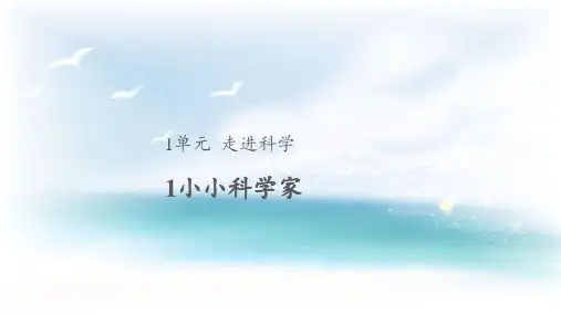 苏教版小学科学一年级上册《1 小小科学家》教学课件