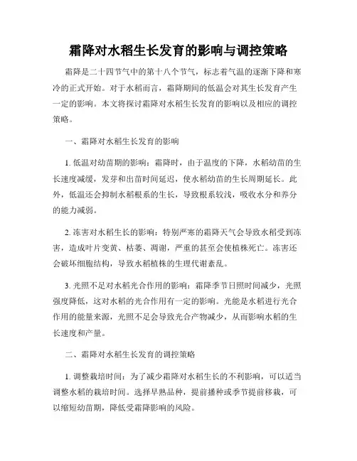 霜降对水稻生长发育的影响与调控策略