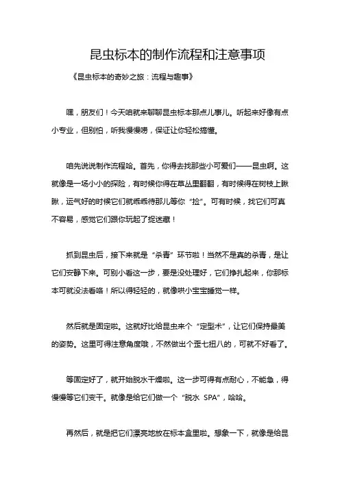 昆虫标本的制作流程和注意事项