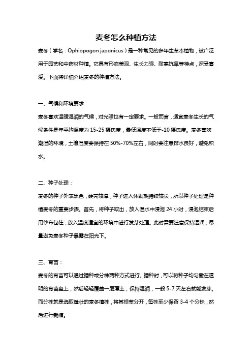 麦冬怎么种植方法