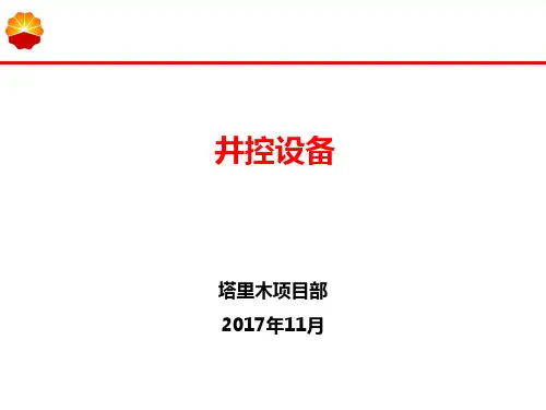 井控设备_精品文档
