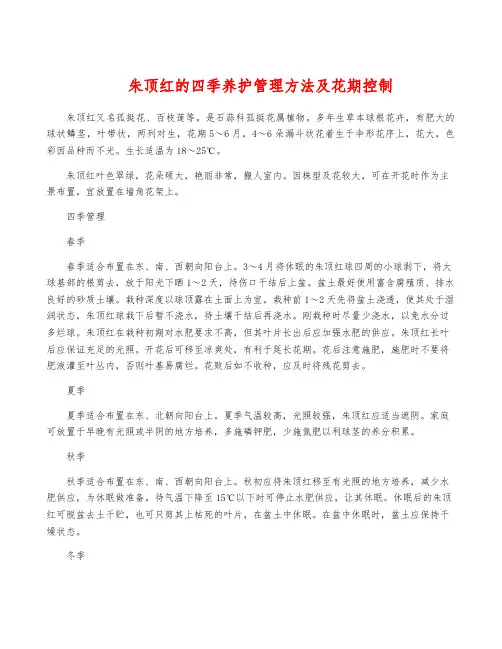 朱顶红的四季养护管理方法及花期控制