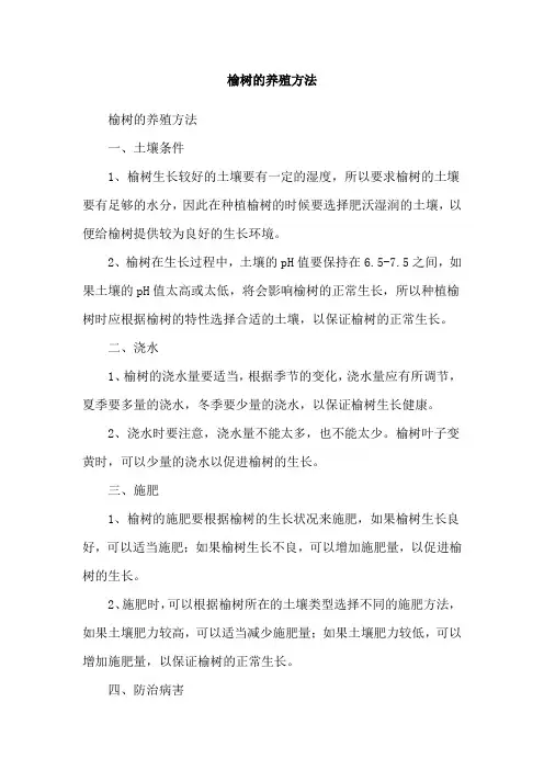 榆树的养殖方法