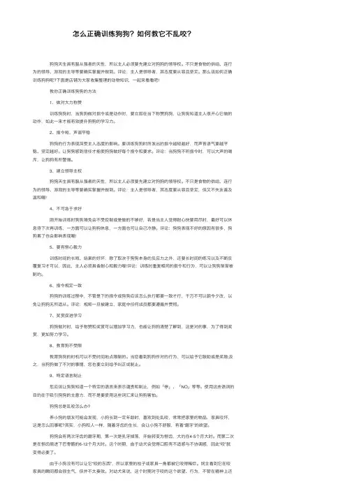 怎么正确训练狗狗？如何教它不乱咬？