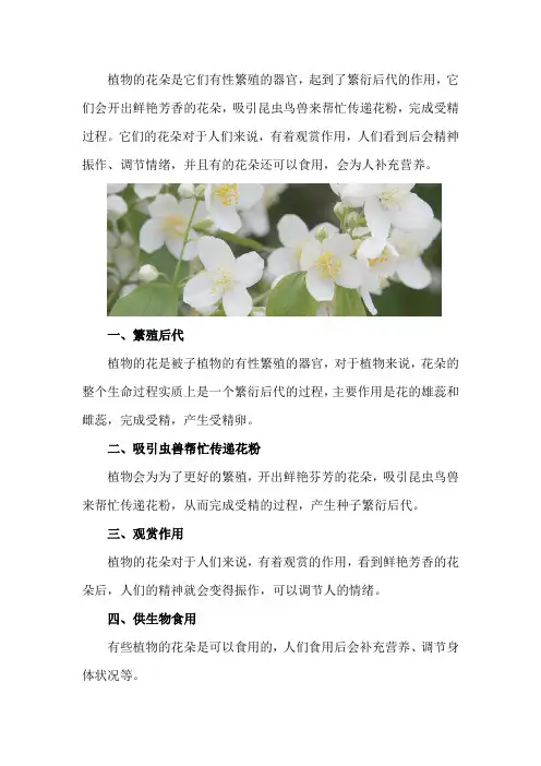 植物的花有什么作用