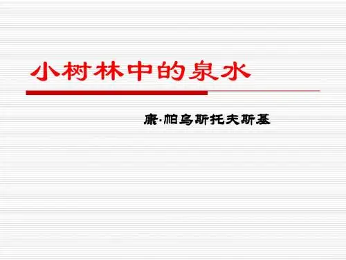 小树林中的泉水