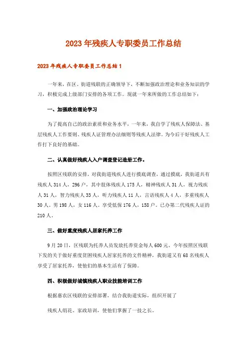 2023年残疾人专职委员工作总结_1