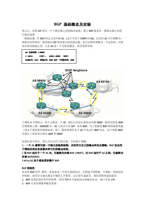 BGP 基础概念及实验