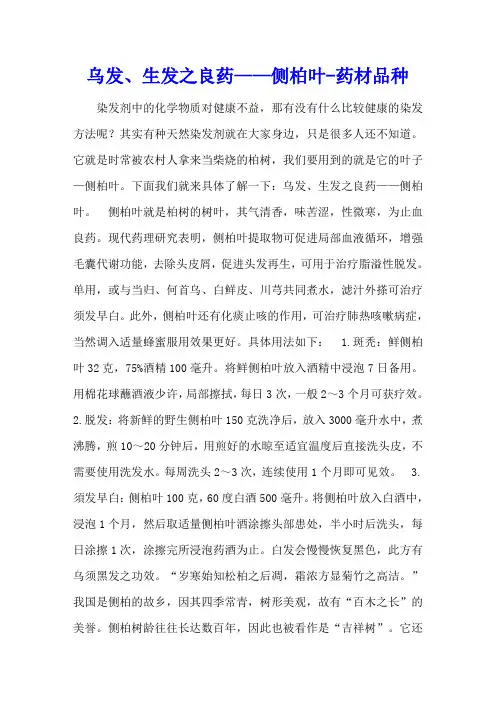 乌发、生发之良药——侧柏叶 - 药材品种