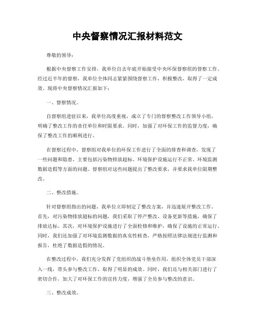 中央督察情况汇报材料范文