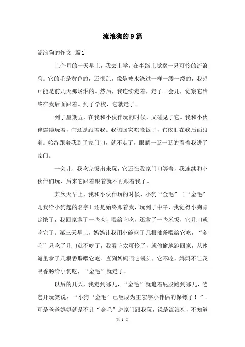 流浪狗的9篇