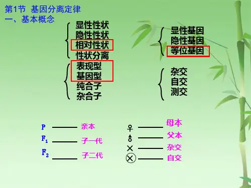 高中生物复习必修2第1章(共27张PPT)