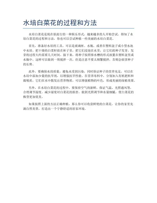水培白菜花的过程和方法