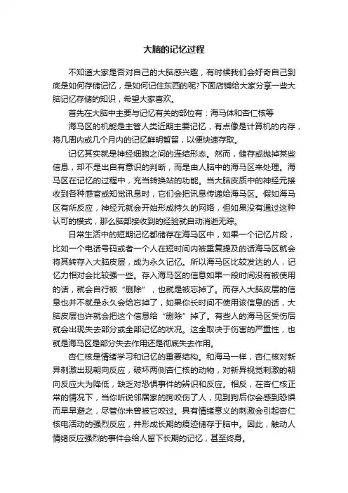 大脑的记忆过程
