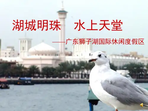 某国际休闲度假区策划全案(PPT 48页)