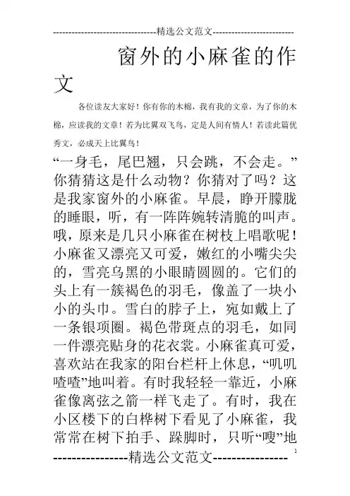 窗外的小麻雀的作文