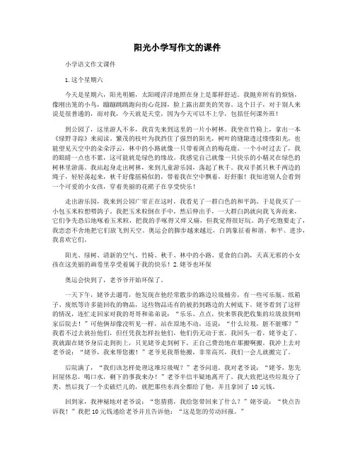 阳光小学写作文的课件