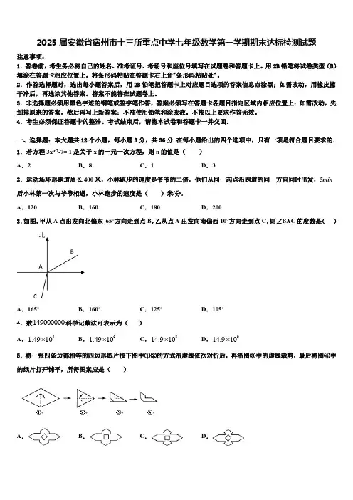 2025届安徽省宿州市十三所重点中学七年级数学第一学期期末达标检测试题含解析