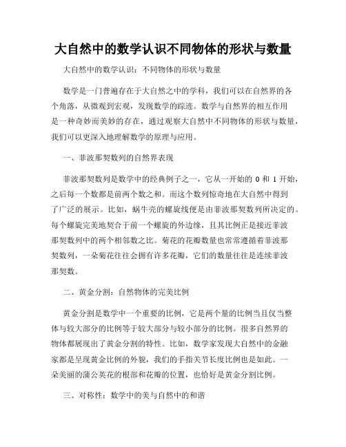 大自然中的数学认识不同物体的形状与数量