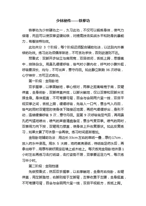 少林秘传——铁拳功