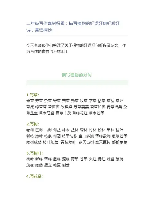 二年级写作素材积累：描写植物的好词好句好段好诗,晨读摘抄