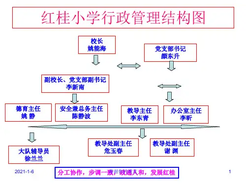 红桂小学行政管理结构图