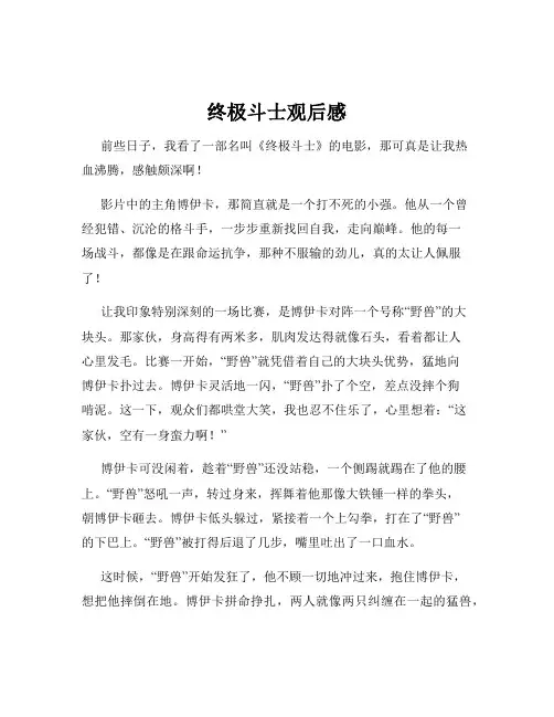 终极斗士观后感