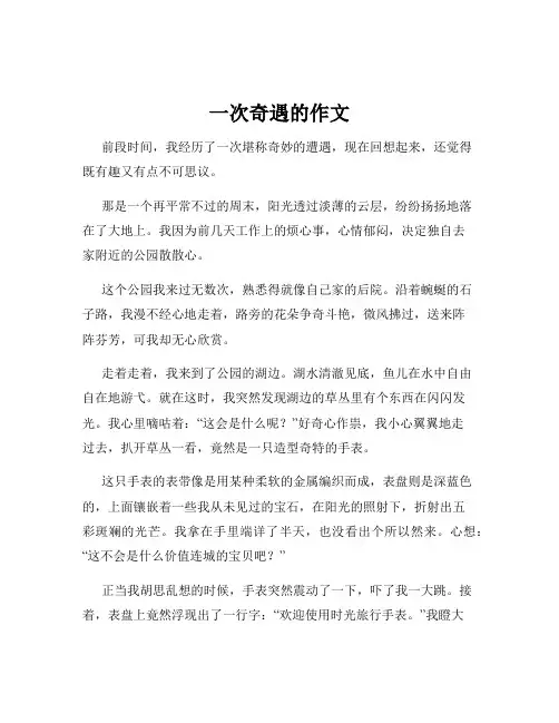 一次奇遇的作文