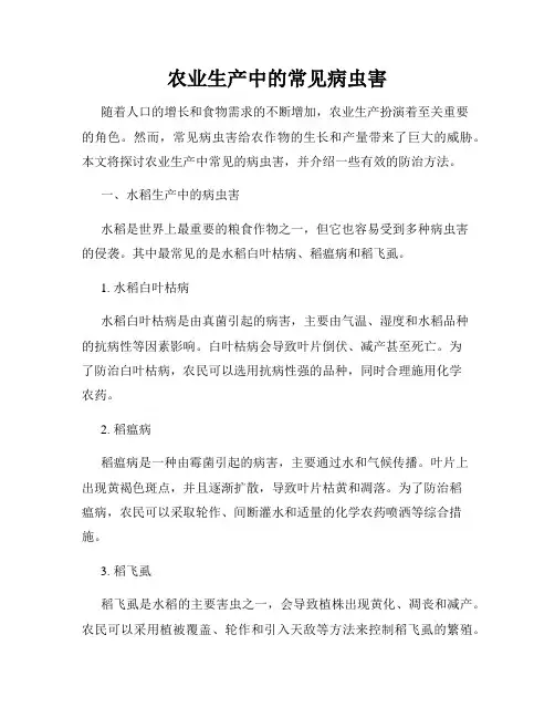 农业生产中的常见病虫害
