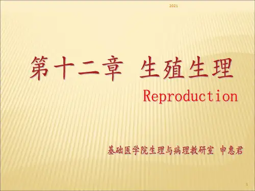 生理学第十二章生殖PPT课件