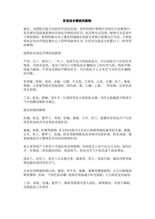 卧室适合摆放的植物