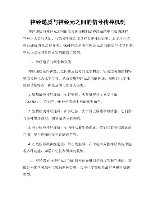 神经递质与神经元之间的信号传导机制