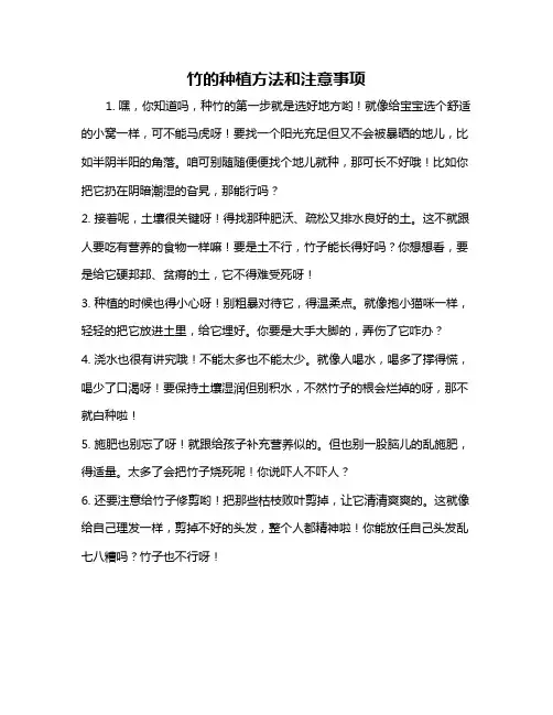 竹的种植方法和注意事项