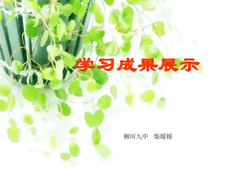 学习成果展示