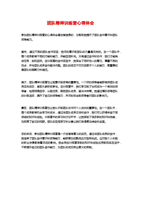团队精神训练营心得体会