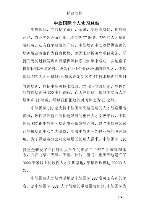 中软国际个人实习总结
