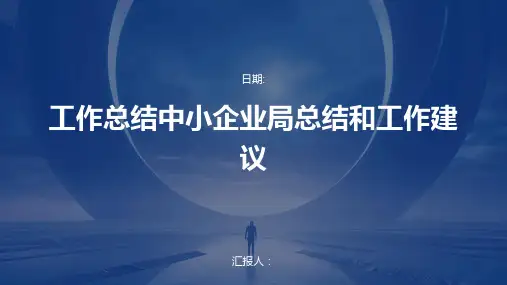 工作总结中小企业局总结和工作建议