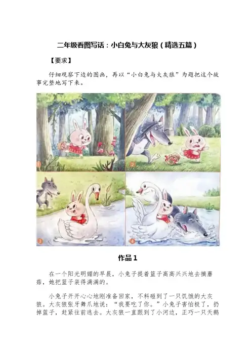 二年级看图写话：小白兔与大灰狼(精选五篇)
