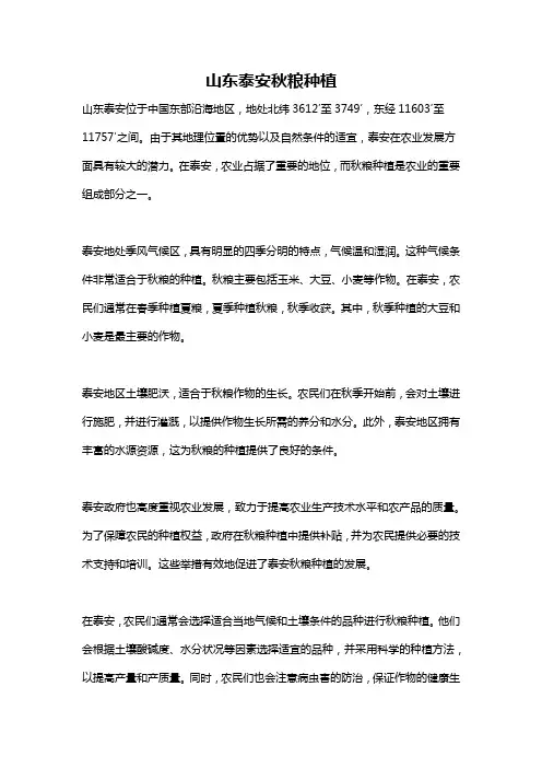 山东泰安秋粮种植