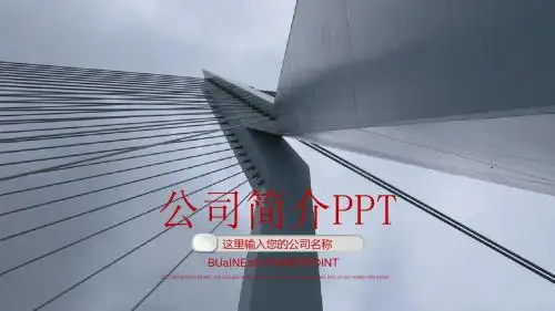 【精选】公司简介企业文化产品宣传PPT模板ppt通用模板