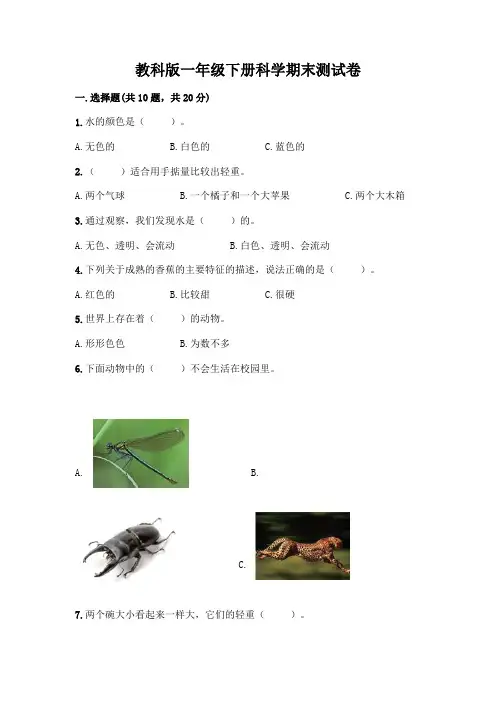 教科版一年级下册科学期末测试卷附参考答案(实用)