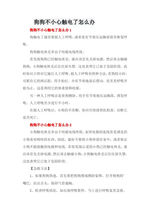 狗狗不小心触电了怎么办