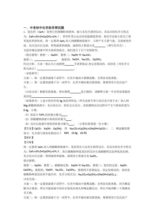 2020-2021 中考化学(探究题提高练习题)压轴题训练附详细答案