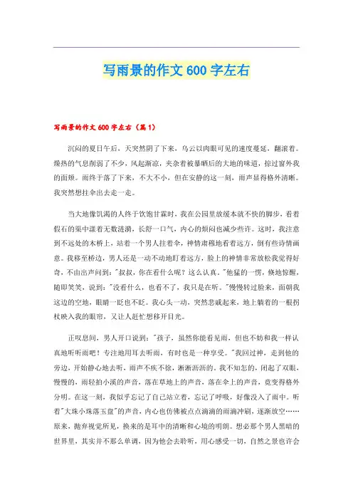 写雨景的作文600字左右
