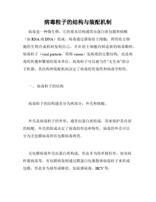 病毒粒子的结构与装配机制