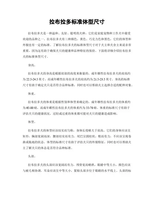 拉布拉多标准体型尺寸