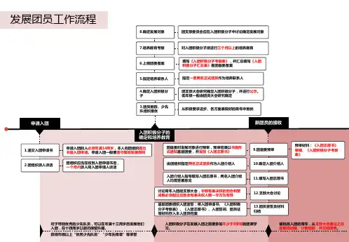 发展团员工作流程